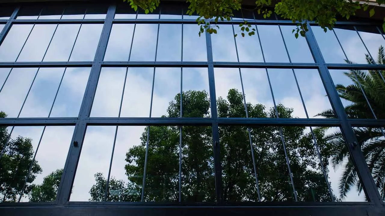 Large windows with heat-blocking film reflecting the trees and sky