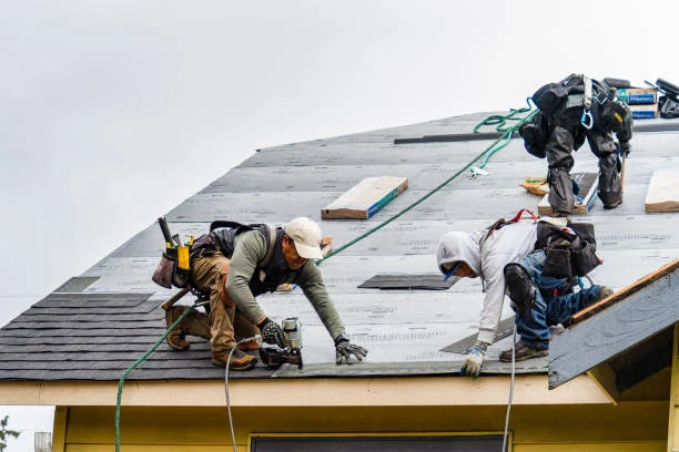 Roofing crew installing a waterproof layer and new shingles on a home